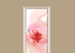 deursticker bloemen magnolia