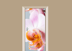 deursticker bloemen orchidee close-up