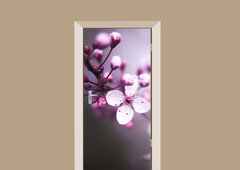 deursticker bloemen kersenboom bloesem