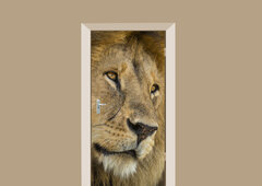 Deursticker leeuw close up