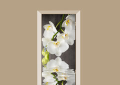 deursticker bloemen klassieke orchidee
