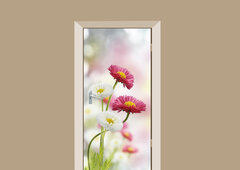 deursticker-bloemen-madeliefje