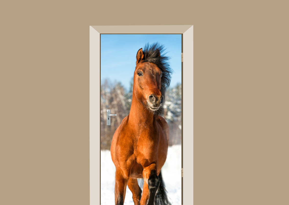uitspraak boerderij Oneerlijk Deursticker paard - Deurstickers-webshop