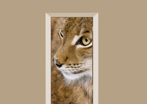 Deursticker lynx