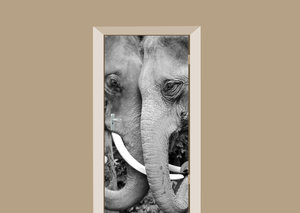 Deursticker twee olifanten