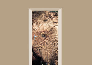 Deursticker olifant