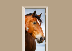 Deursticker paard bruin
