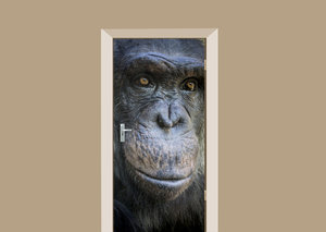 Deursticker Chimpansee
