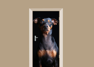 Deursticker dwergpinscher