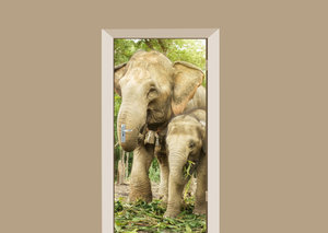 Deursticker olifant met jong