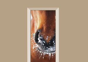 Deursticker paardenmond bruin