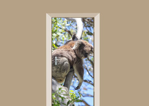 Deursticker koala beer