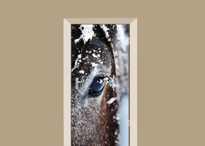 Deursticker paard in de sneeuw