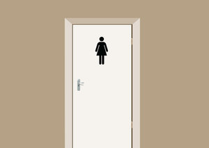 Deursticker toiletdeur dames 33x15 cm