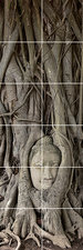 Foto tegelsticker 15x15 'Boeddha hoofd met boom' 90x30 cm hxb