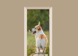 Deursticker corgi hond