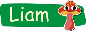 Naamsticker babykamer/kinderkamer 'Paddenstoel'