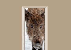 Deursticker wild zwijn